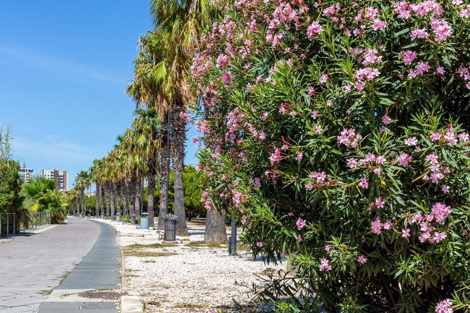 Sunichele Luxury Apartment Cagliari Esterno foto
